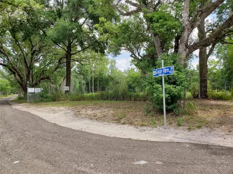 997 Grace Farm Dr, Lutz, FL 33549