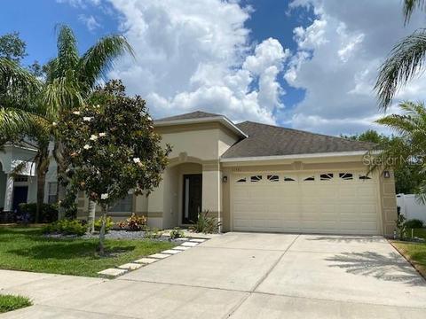 11541 Addison Chase Dr, Riverview, FL 33579 photo 1