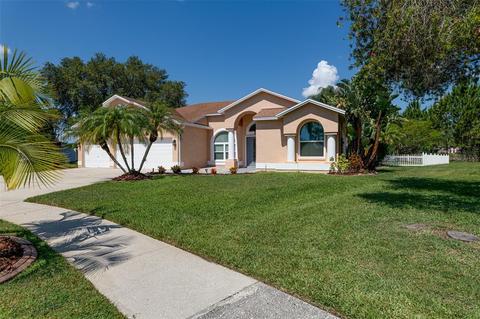 12950 Prestwick Dr, Riverview, FL 33579 photo 1