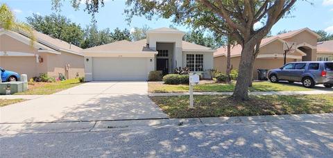 13718 Sigler St, Riverview, FL 33579 photo 1