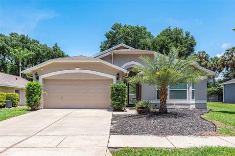 5810 Erhardt Dr, Riverview, FL 33578 photo 1