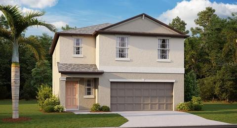 12755 Maple Bonsai Dr, Riverview, FL 33579 photo 1
