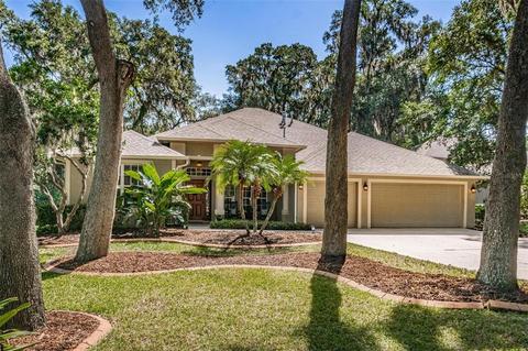 302 Red Elm Pl, Seffner, FL 33584 photo 1