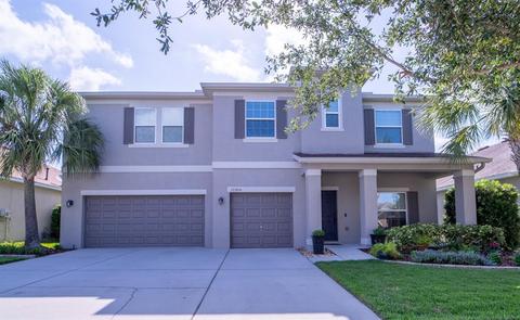 11304 Scribner Station Ln, Lithia, FL 33547 photo 1