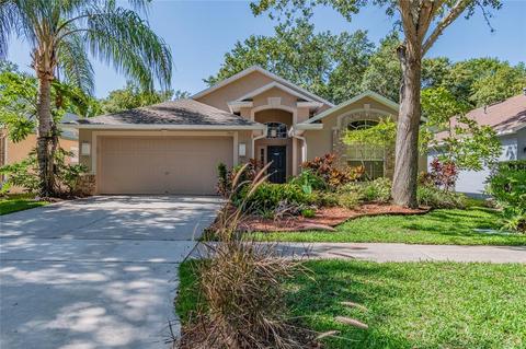 7117 Colony Pointe Dr, Riverview, FL 33578 photo 1