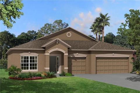 4928 Eagle Rock Dr, Wimauma, FL 33598 photo 1