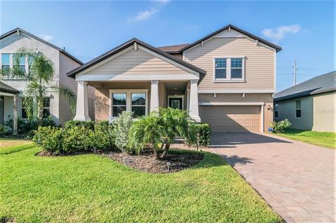 11409 Chilly Water Ct, Riverview, FL 33569 photo 1