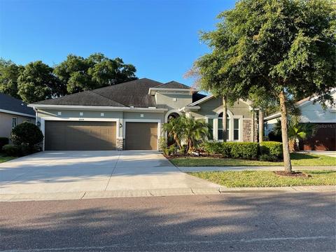 1009 Tracey Ann Loop, Seffner, FL 33584 photo 1