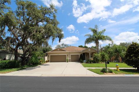 10928 Pond Pine Dr, Riverview, FL 33569 photo 1