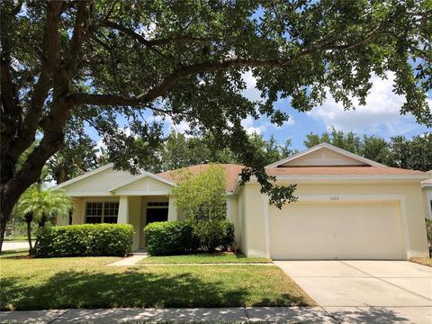 11102 Holly Cone Dr, Riverview, FL 33569 photo 1