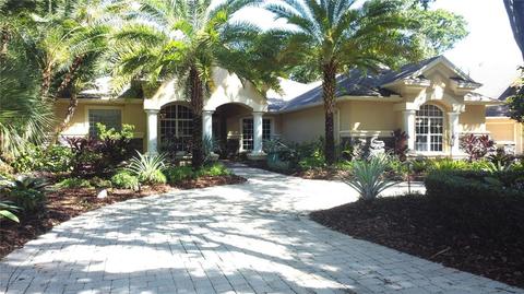 6002 Hammock Hill Ave, Lithia, FL 33547 photo 1