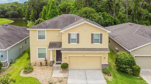 8513 Tidal Breeze Dr, Riverview, FL 33569 photo 1