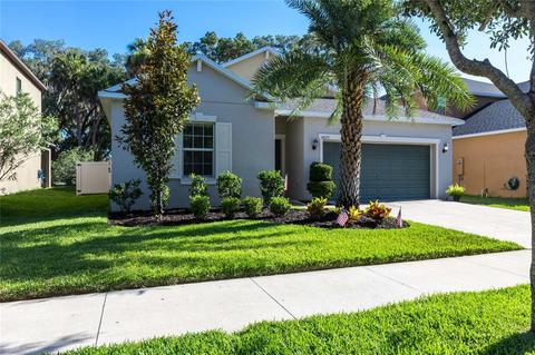14271 Blue Dasher Dr, Riverview, FL 33569 photo 1