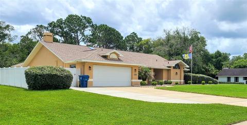 4298 River Birch Dr, Spring Hill, FL 34607 photo 1