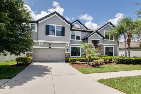 11805 Gilmerton Dr, Riverview, FL 33579 photo 1