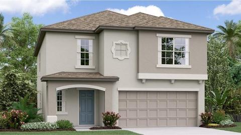 12718 Maple Bonsai Dr, Riverview, FL 33579 photo 1