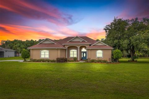 13237 Emerald Acres Ave, Dover, FL 33527 photo 1