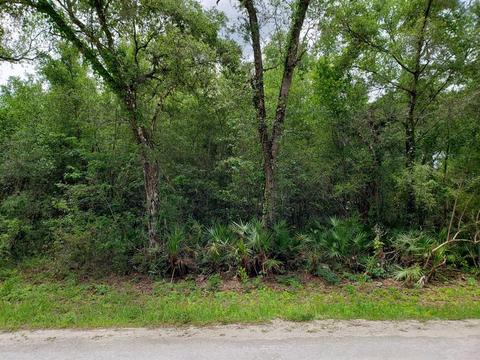 34284 Shaffer Dr, Dade City, FL 33523