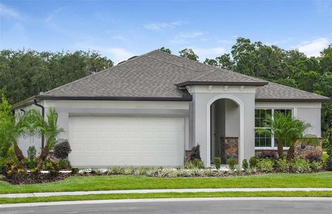 12917 Brookside Moss Dr, Riverview, FL 33579 photo 1