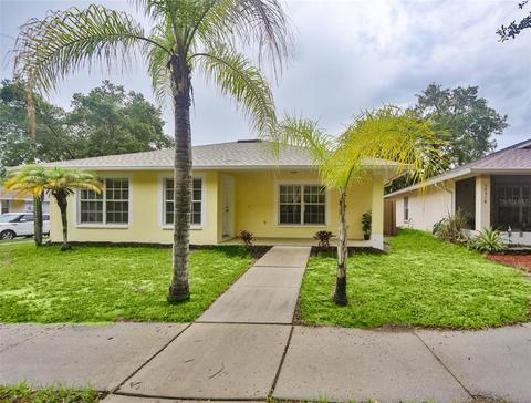 10316 Summerview Cir, Riverview, FL 33578 photo 1