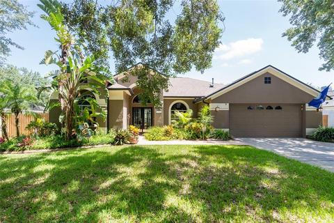9322 Sunnyoak Dr, Riverview, FL 33569 photo 1