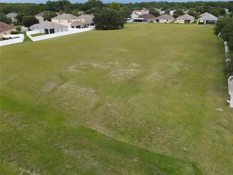 1035 Nashville Dr, Wesley Chapel, FL 33544