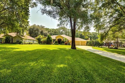 18206 Fox Trace Ct, Lutz, FL 33549 photo 1
