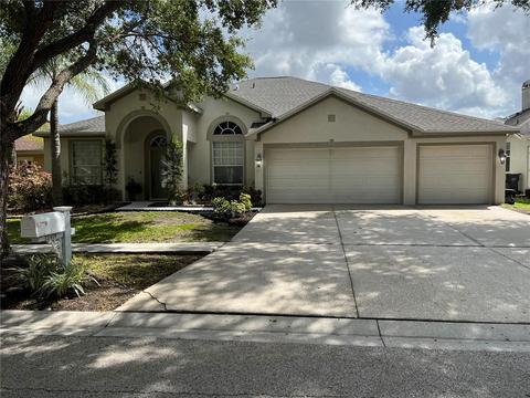 12418 Bramfield Dr, Riverview, FL 33579 photo 1
