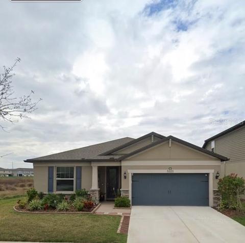 5323 Fallen Leaf Dr, Riverview, FL 33578 photo 1