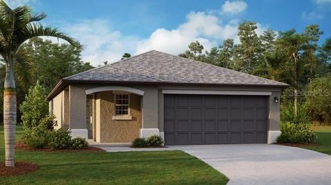 12711 Maple Bonsai Dr, Riverview, FL 33579 photo 1