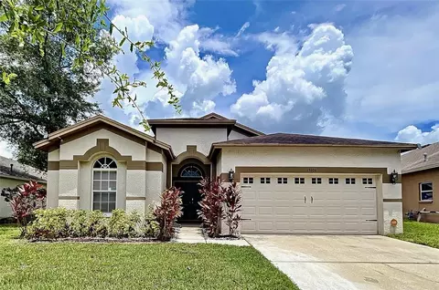 13604 Ogakor Dr, Riverview, FL 33579 photo 1