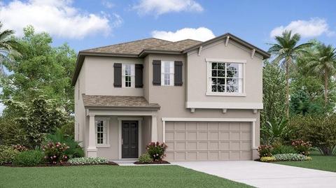 12701 Maple Bonsai Dr, Riverview, FL 33579 photo 1