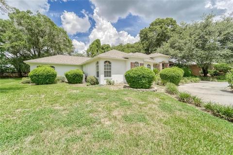 4702 Dover Cliff Ct, Dover, FL 33527 photo 1