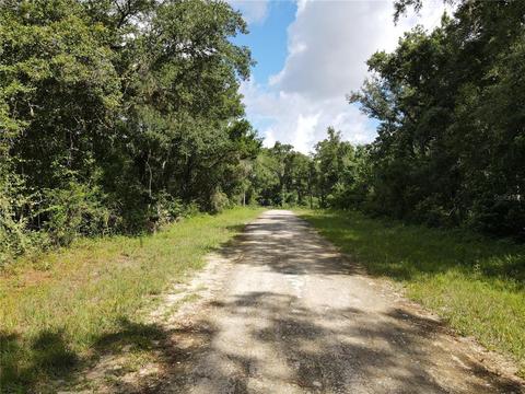 7079 Karwich Ave, Webster, FL 33597 photo 1