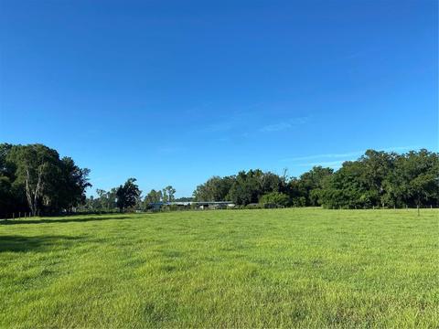 Williams Road, Plant City, FL 33565