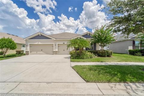 12318 Juniper Field Ct, Riverview, FL 33579 photo 1