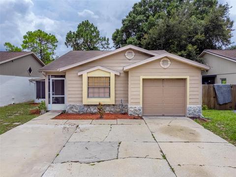 13406 Laraway Dr, Riverview, FL 33579 photo 1