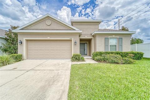 7328 Blue Beech Dr, Riverview, FL 33578 photo 1