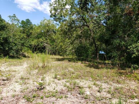 6394 Biltmore Ave, Webster, FL 33597 photo 1