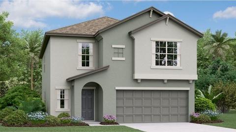 12695 Maple Bonsai Dr, Riverview, FL 33579 photo 1