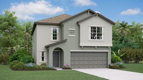 9921 Jackfruit Ct, Riverview, FL 33578 photo 1