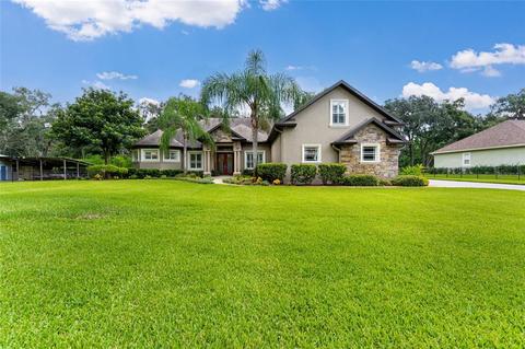 1302 Vinewood Dr, Seffner, FL 33584 photo 1