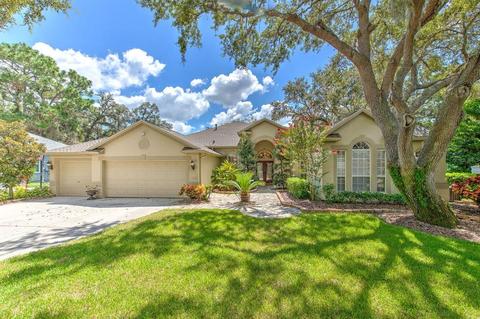 5704 Eaglepoint Pl, Lithia, FL 33547 photo 1