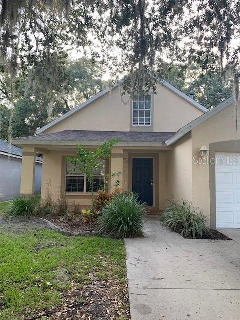 6725 Summer Haven Dr, Riverview, FL 33578 photo 1