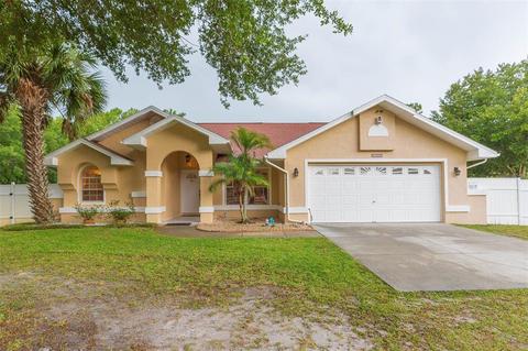 27020 Golden Meadow Dr, Wesley Chapel, FL 33544