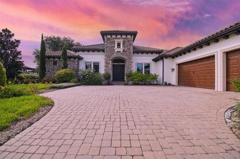 10138 Milano Dr, Trinity, FL 34655 photo 1