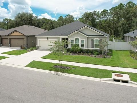 13005 Satin Lily Dr, Riverview, FL 33579 photo 1