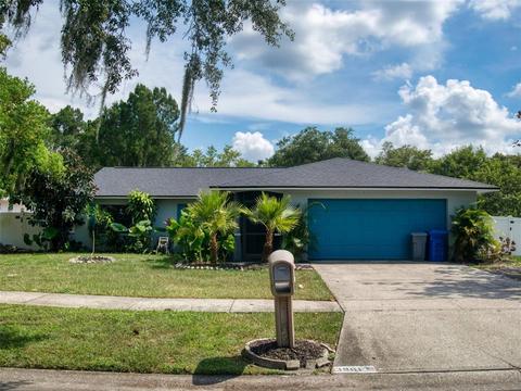 3901 Casaba Loop, Valrico, FL 33596 photo 1