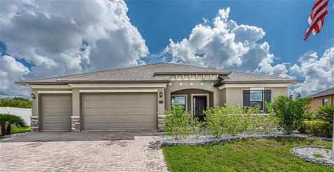 11604 Iris Spring Ct, Riverview, FL 33579 photo 1
