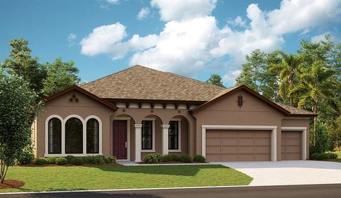 4579 Shoreleaf Loop, Valrico, FL 33596 photo 1
